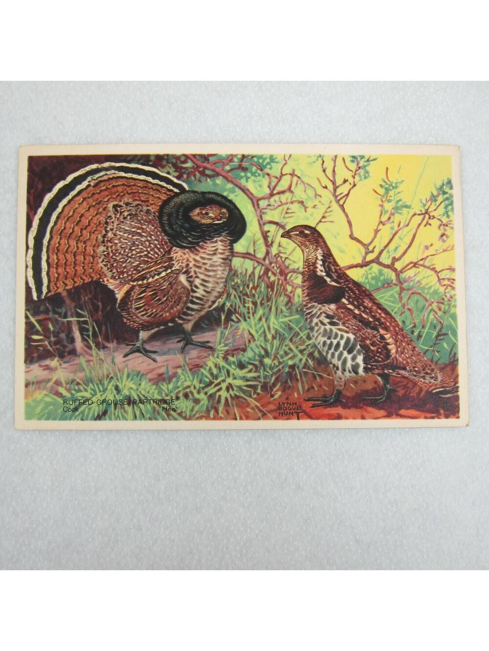Vintage 1939 National Wildlife Bird Postcards Lot 3 Ruffed Grouse Woodcock Quail - Picture 11 of 12